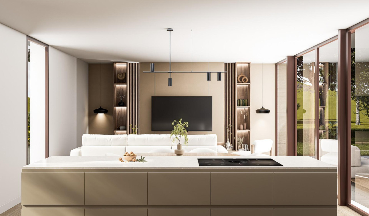 Nouvelle construction - Villa Individuelle - Pinoso - Lel