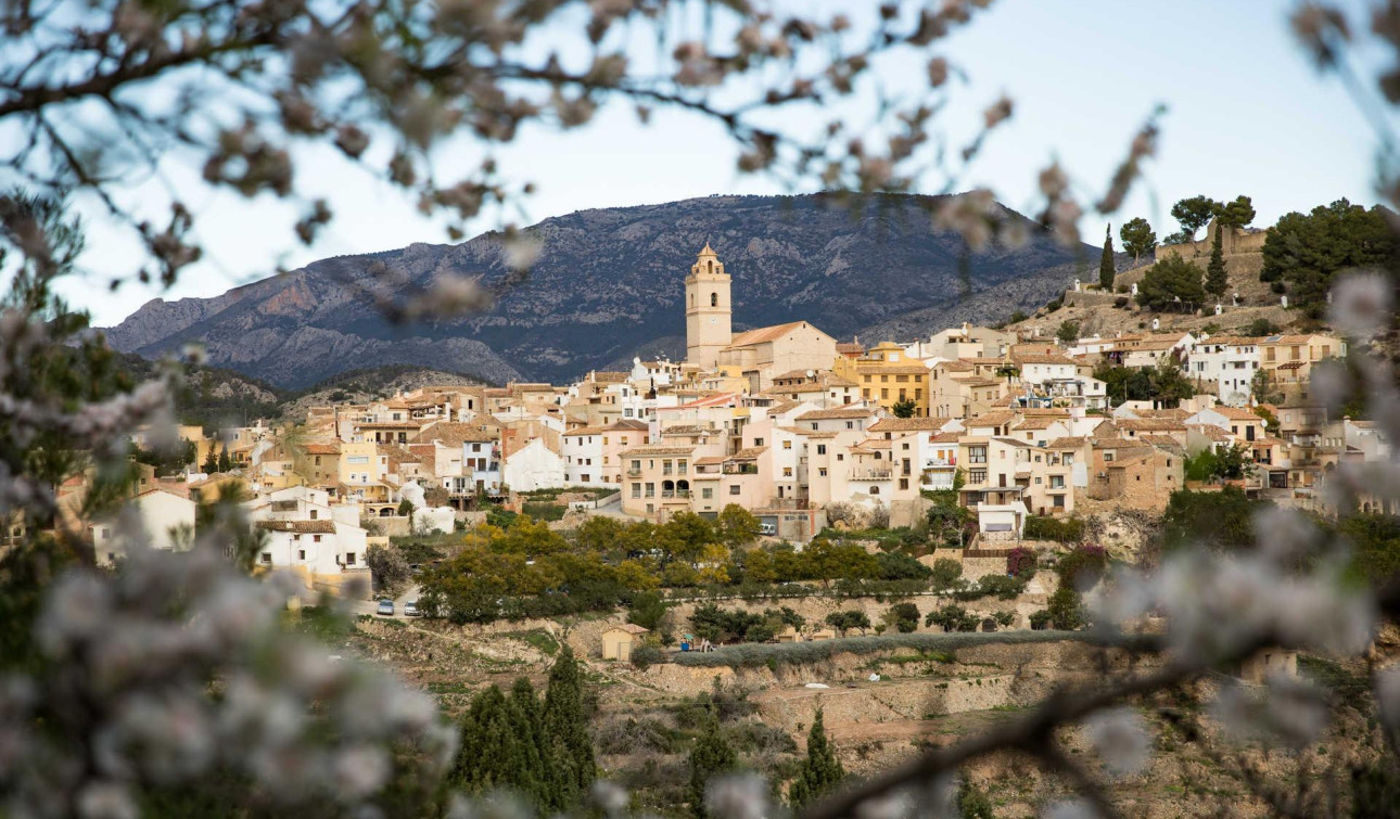 Nouvelle construction - Villa Individuelle - Polop - Polop Hills