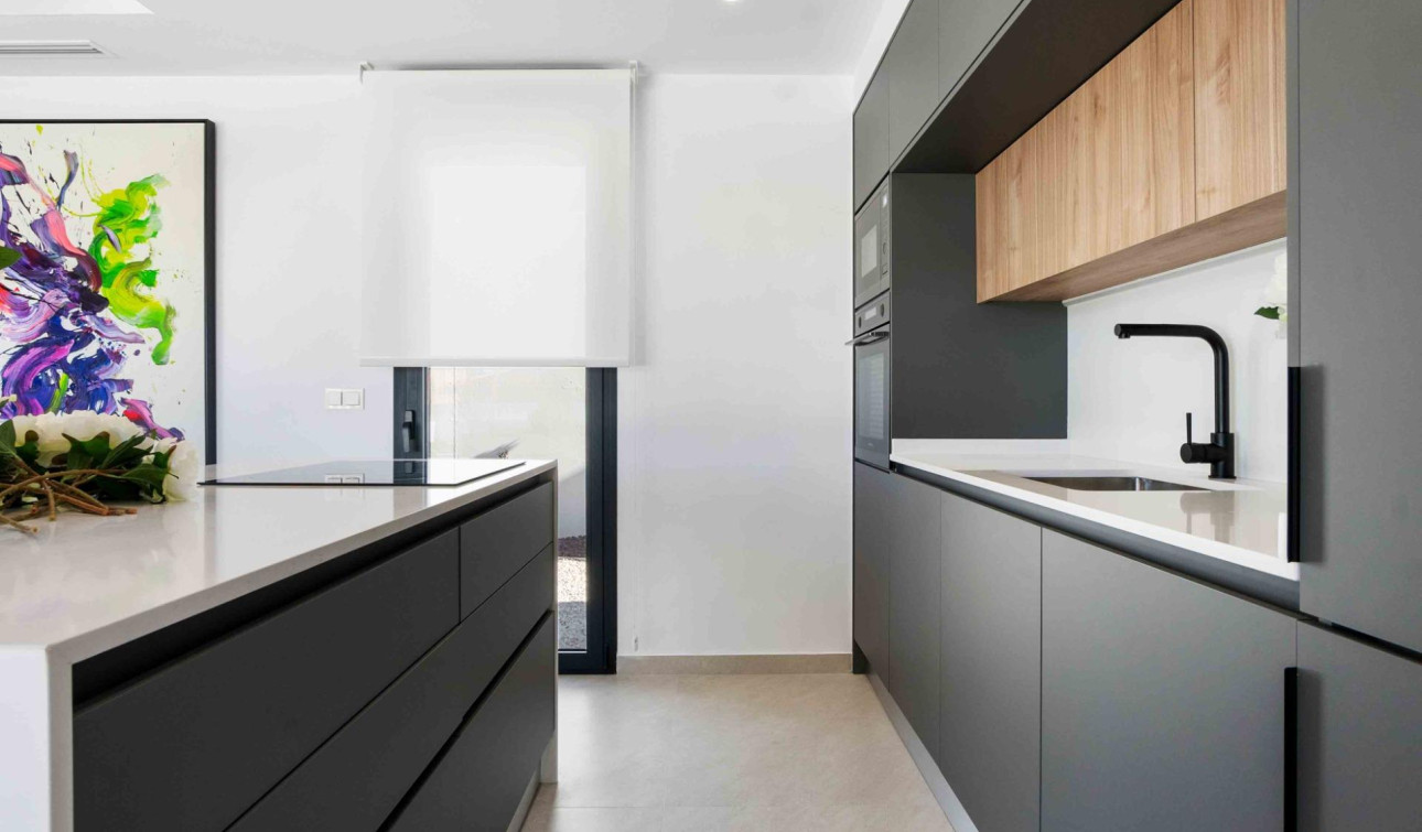 Nouvelle construction - Villa Individuelle - Rojales - Benimar