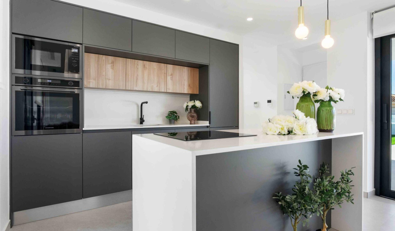 Nouvelle construction - Villa Individuelle - Rojales - Benimar