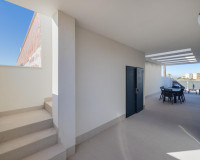 Nouvelle construction - Villa Individuelle - Torrevieja - Sector 25