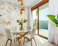 Nouvelle construction - Villa Individuelle - Vera - Vera Playa