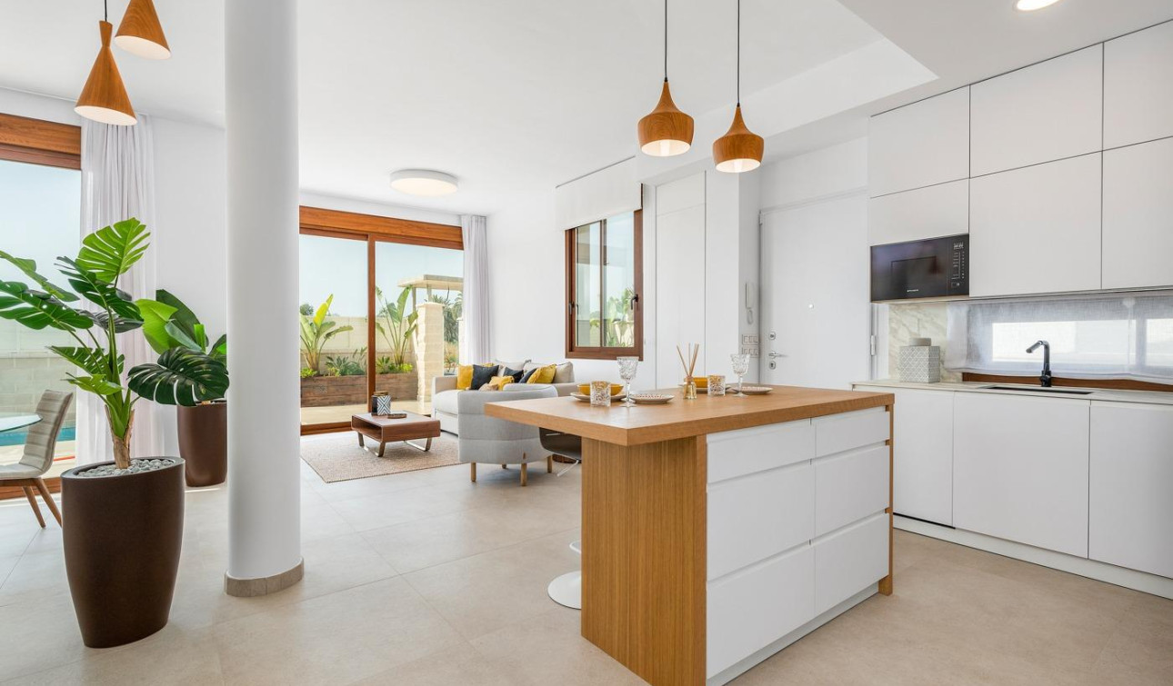 Nouvelle construction - Villa Individuelle - Vera - Vera Playa