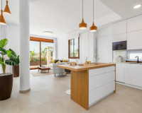 Nouvelle construction - Villa Individuelle - Vera - Vera Playa