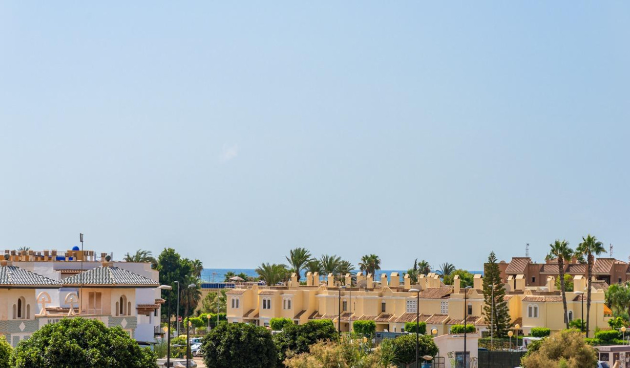 Nouvelle construction - Villa Individuelle - Vera - Vera Playa