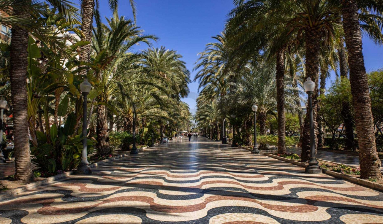 Obra nueva - Apartamento / Piso - Alicante - Centro