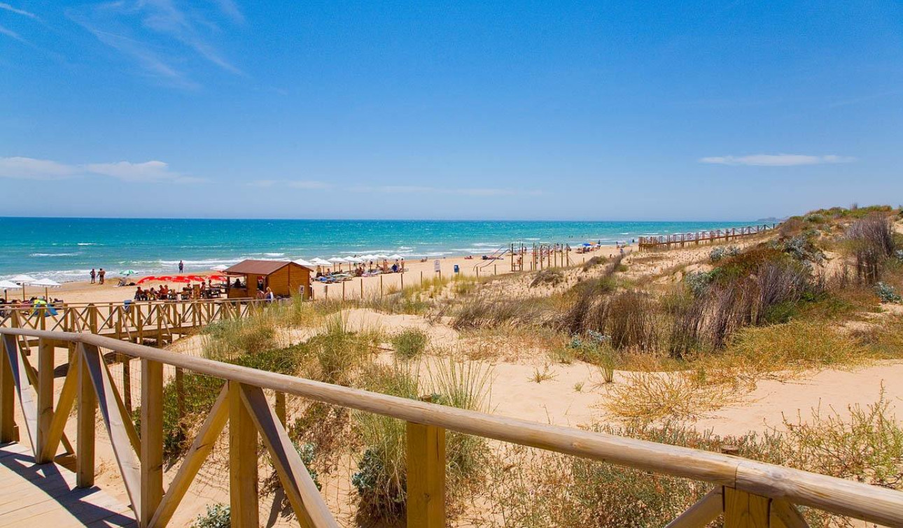 Obra nueva - Apartamento / Piso - Guardamar del Segura - Pueblo