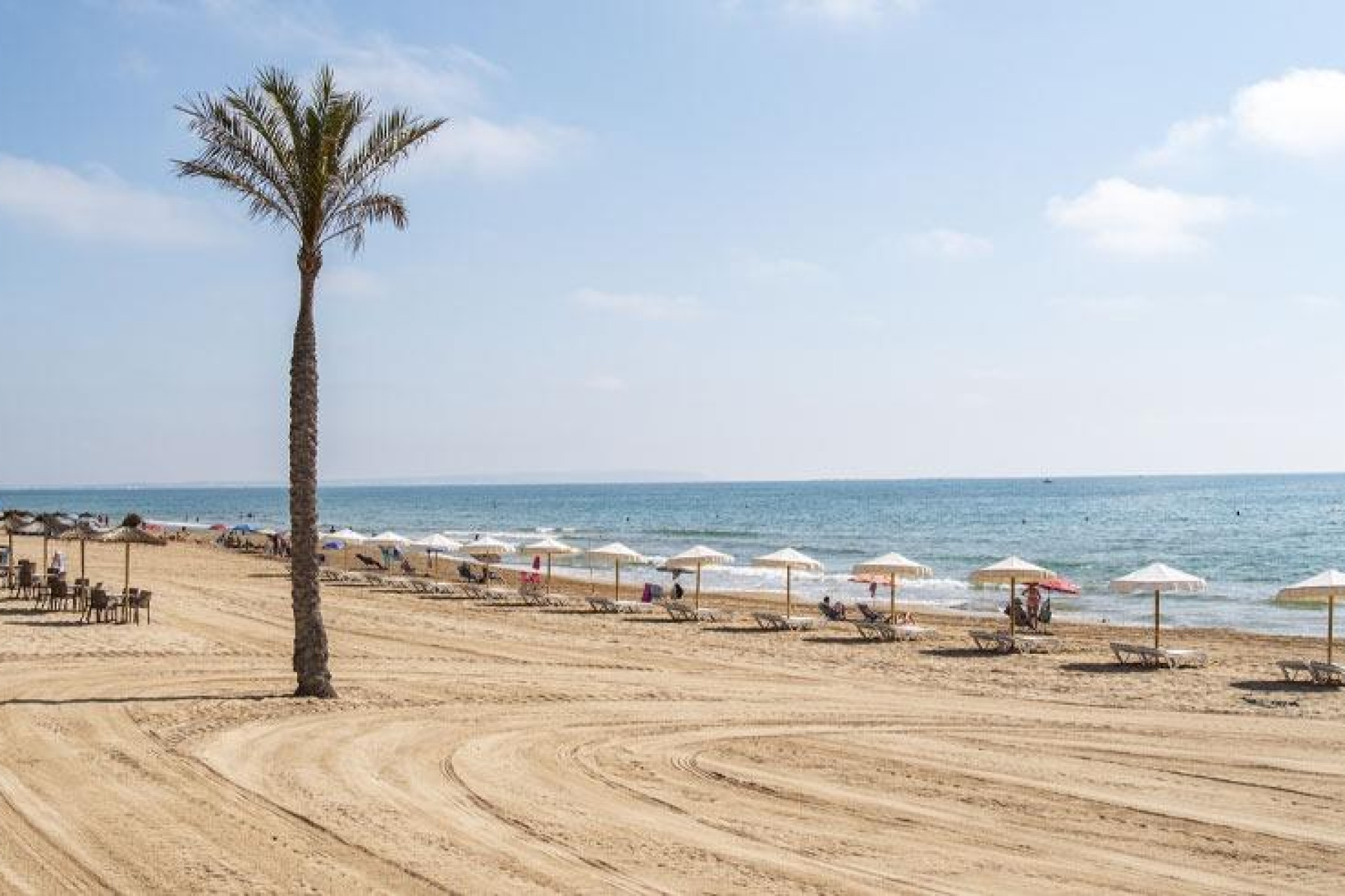 Obra nueva - Apartamento / Piso - Guardamar del Segura - Pueblo