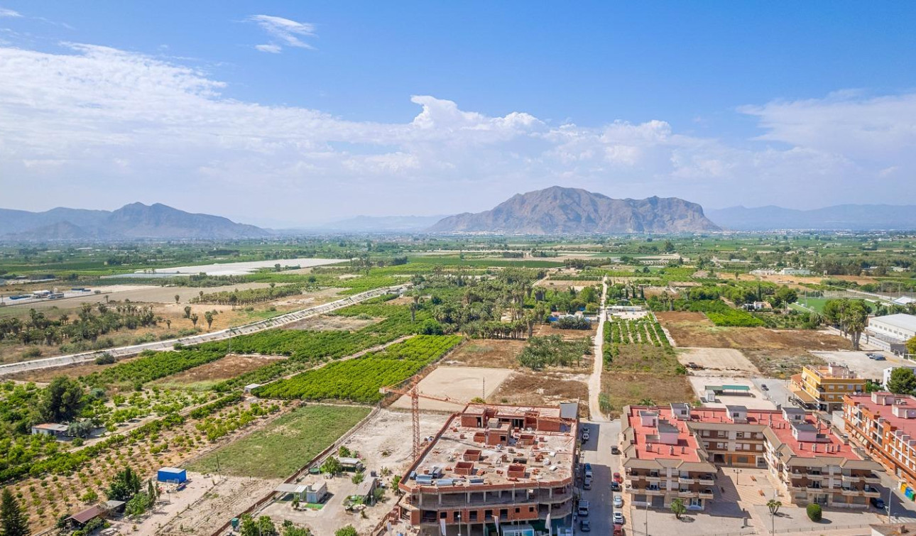 Obra nueva - Apartamento / Piso - Jacarilla - pueblo