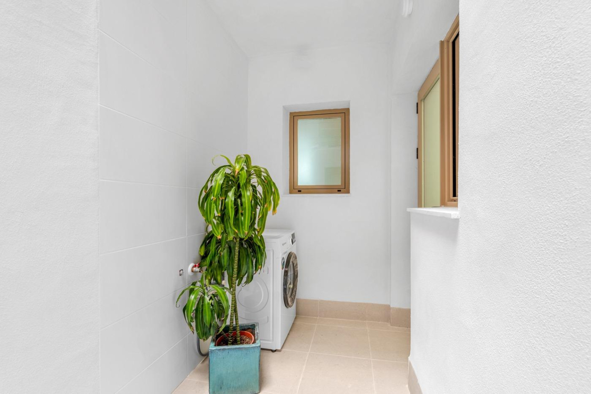 Obra nueva - Apartamento / Piso - Jacarilla - pueblo