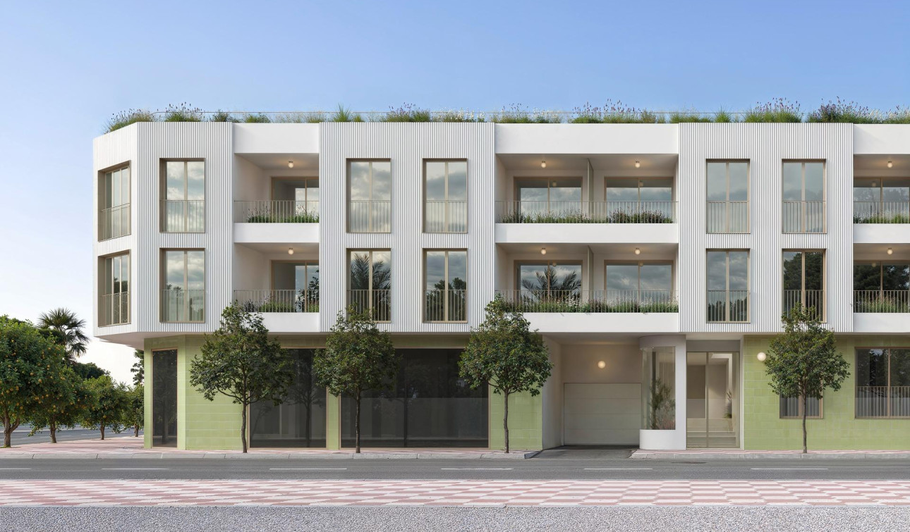 Obra nueva - Apartamento / Piso - Jacarilla - pueblo