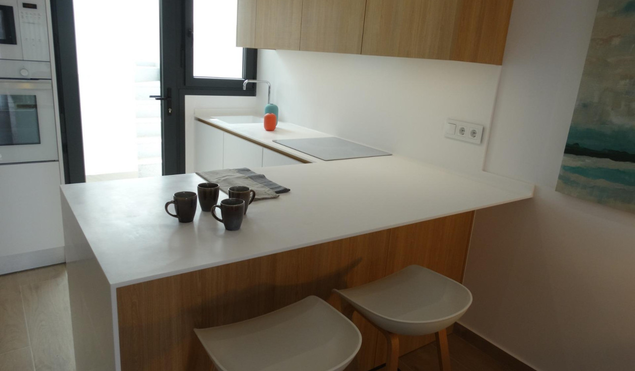 Obra nueva - Apartamento / Piso - Pilar de la Horadada - pueblo