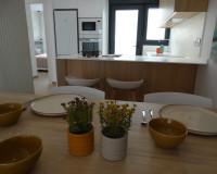 Obra nueva - Apartamento / Piso - Pilar de la Horadada - pueblo