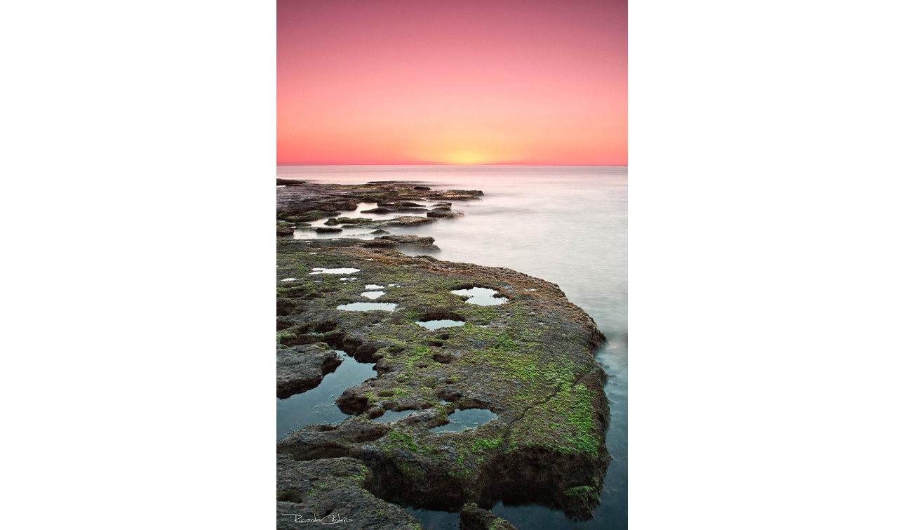 Obra nueva - Apartamento / Piso - Torrevieja - Altos del Sol