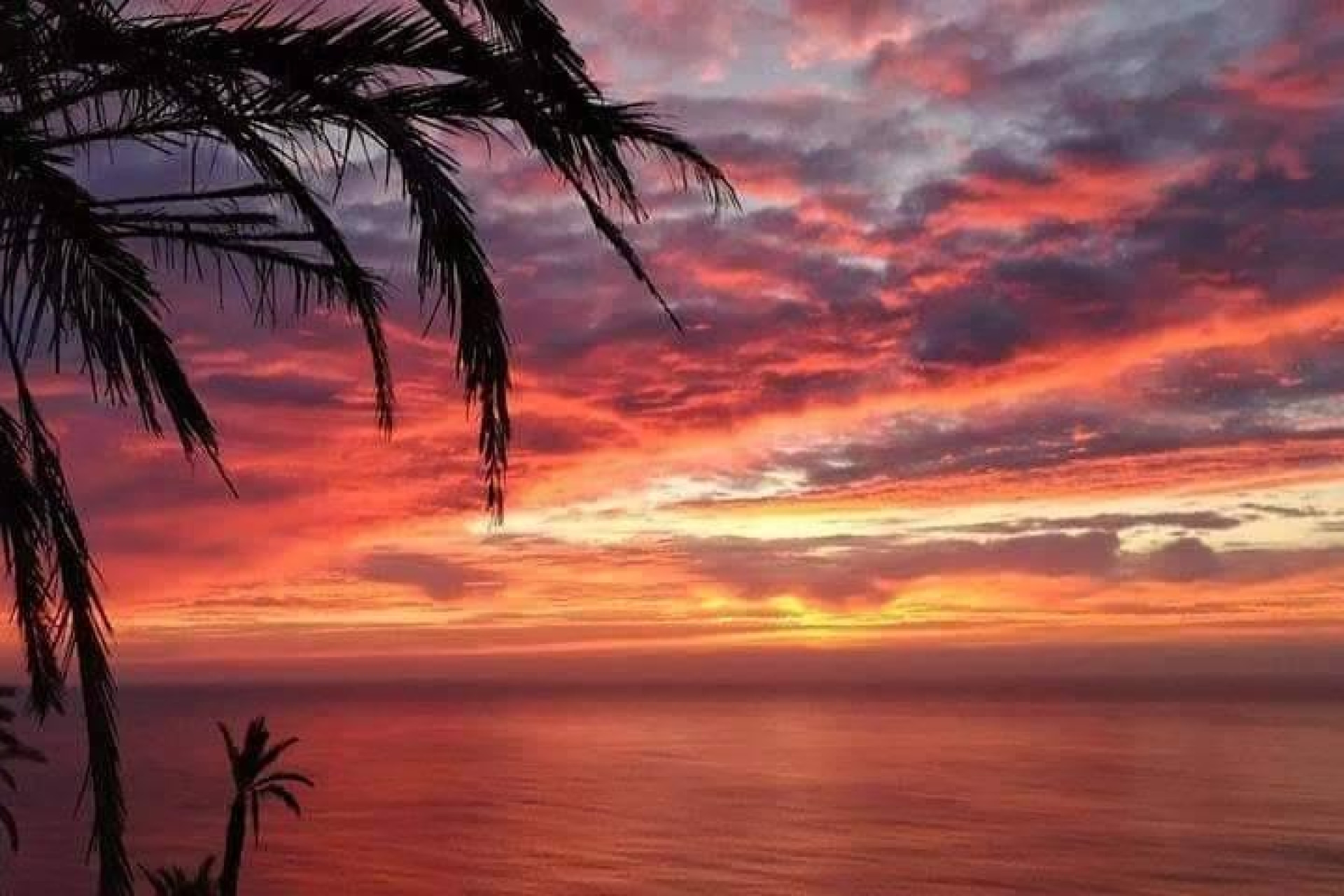 Obra nueva - Apartamento / Piso - Torrevieja - Altos del Sol