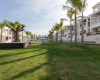 Obra nueva - Apartamento / Piso - Torrevieja - Los Balcones