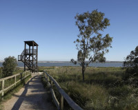 Obra nueva - Bungalow - Torrevieja - Aguas Nuevas