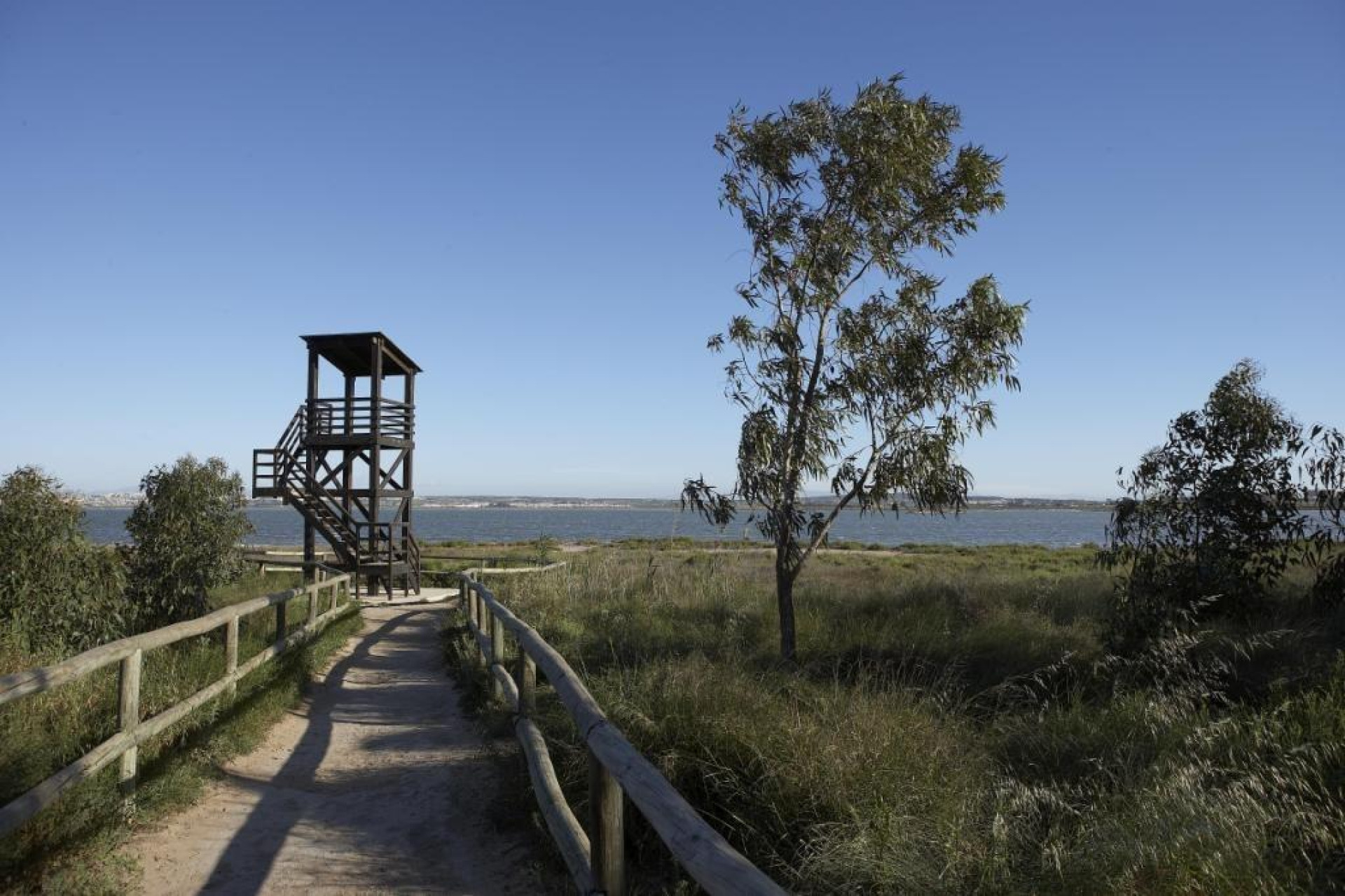 Obra nueva - Bungalow - Torrevieja - Aguas Nuevas