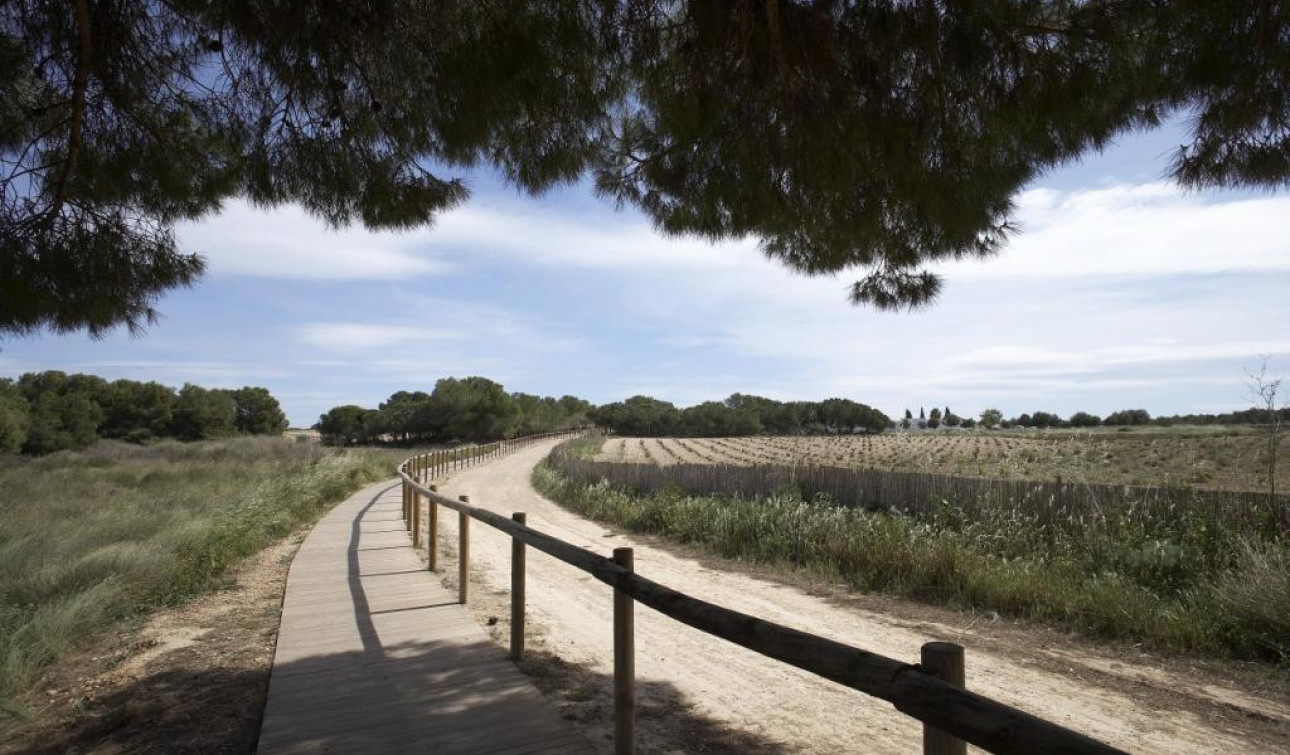 Obra nueva - Bungalow - Torrevieja - Aguas Nuevas