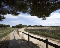 Obra nueva - Bungalow - Torrevieja - Aguas Nuevas