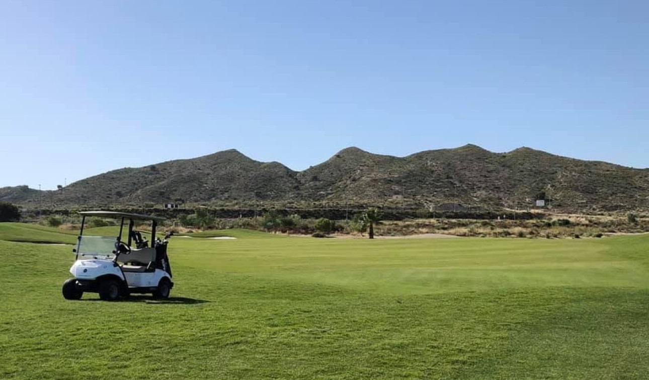 Obra nueva - Casa de Pueblo - Banos y Mendigo - Altaona Golf