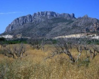 Obra nueva - Casa de Pueblo - El Verger - Playa de La Almadraba