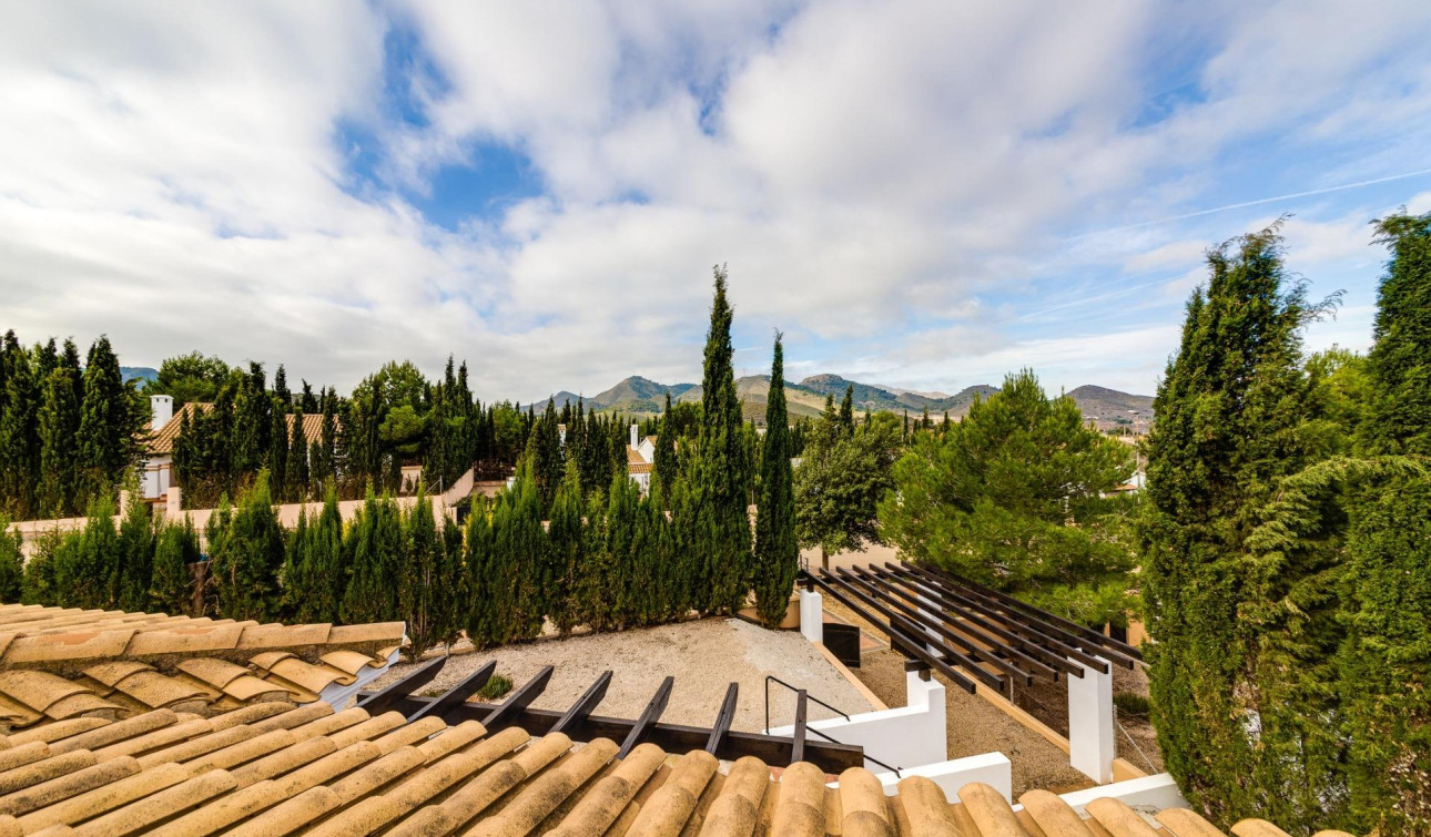 Obra nueva - Casa de Pueblo - Fuente Álamo - Las Palas