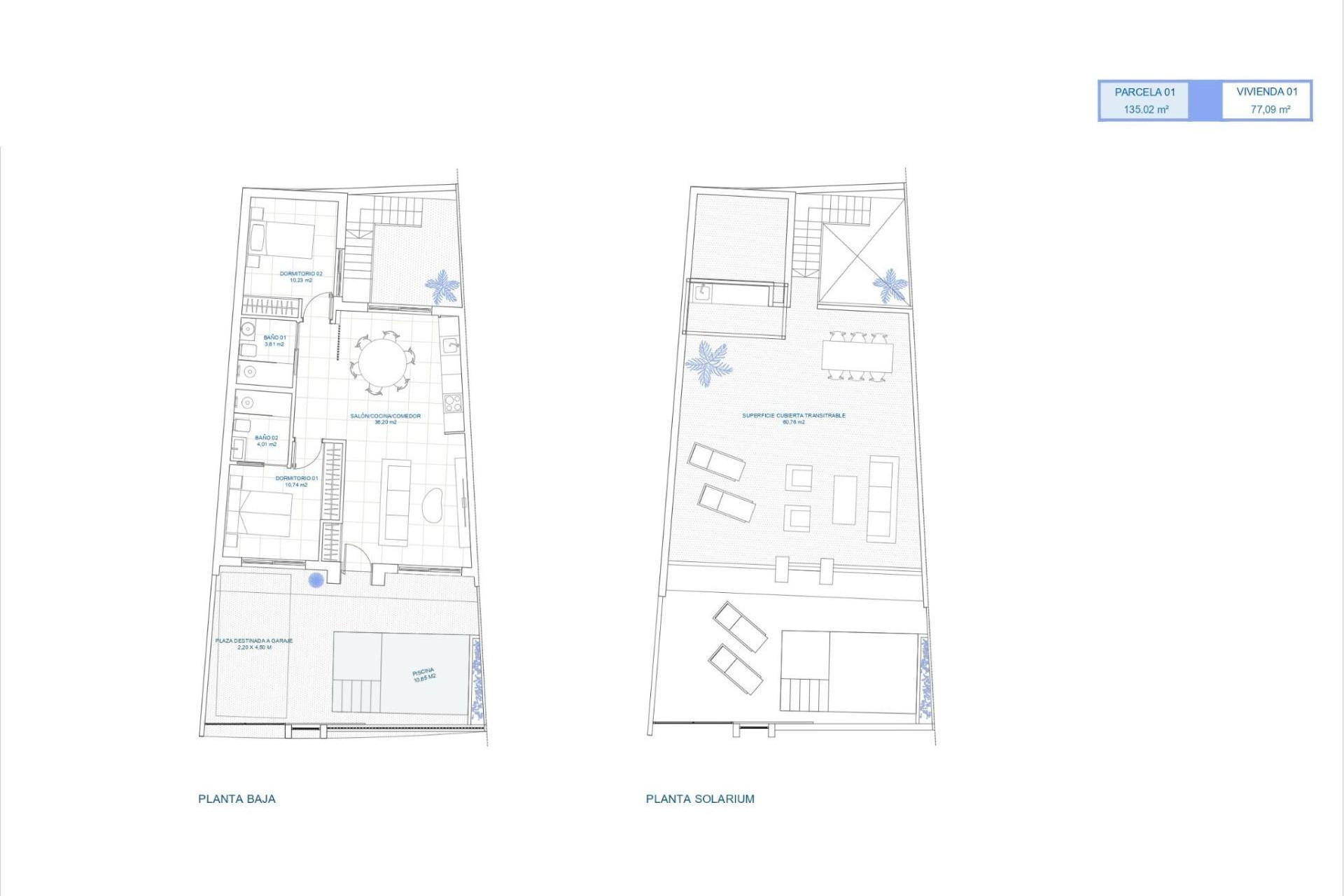 Obra nueva - Casa de Pueblo - Torre Pacheco - El Alba