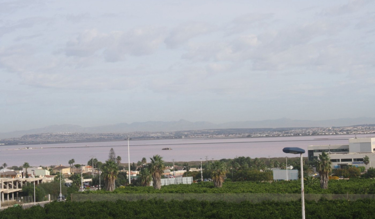 Obra nueva - Casa de Pueblo - Torrevieja - Los Altos