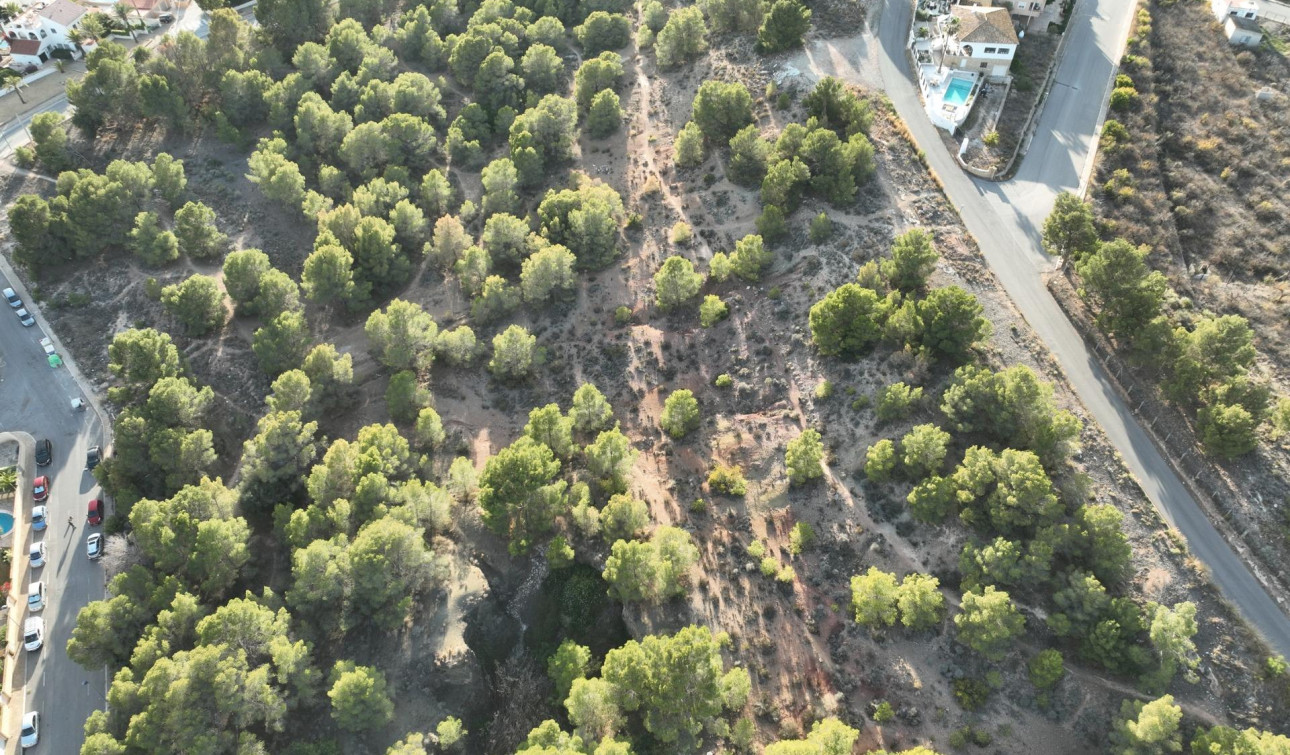 Obra nueva - Villa independiente - Alfas del Pí - Escandinavia