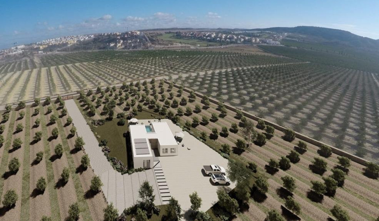 Obra nueva - Villa independiente - Algorfa