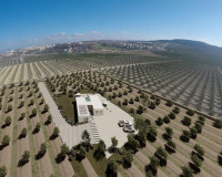 Obra nueva - Villa independiente - Algorfa