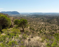 Obra nueva - Villa independiente - Aspe - Centro