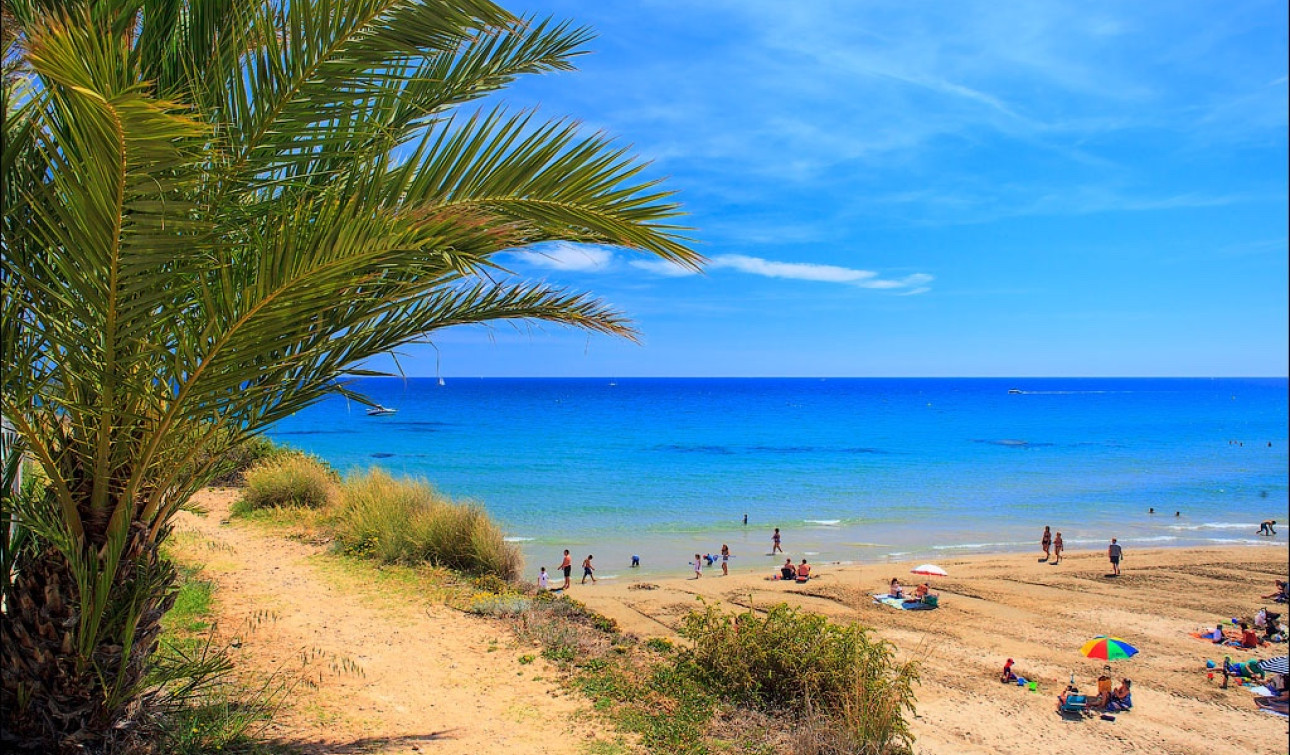 Obra nueva - Villa independiente - Cabo Roig