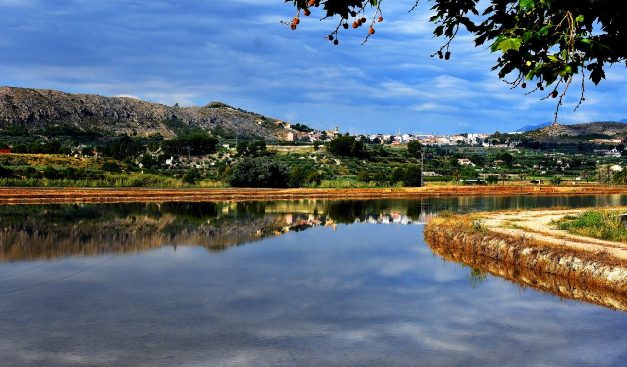 Obra nueva - Villa independiente - Calasparra - Coto Riñales