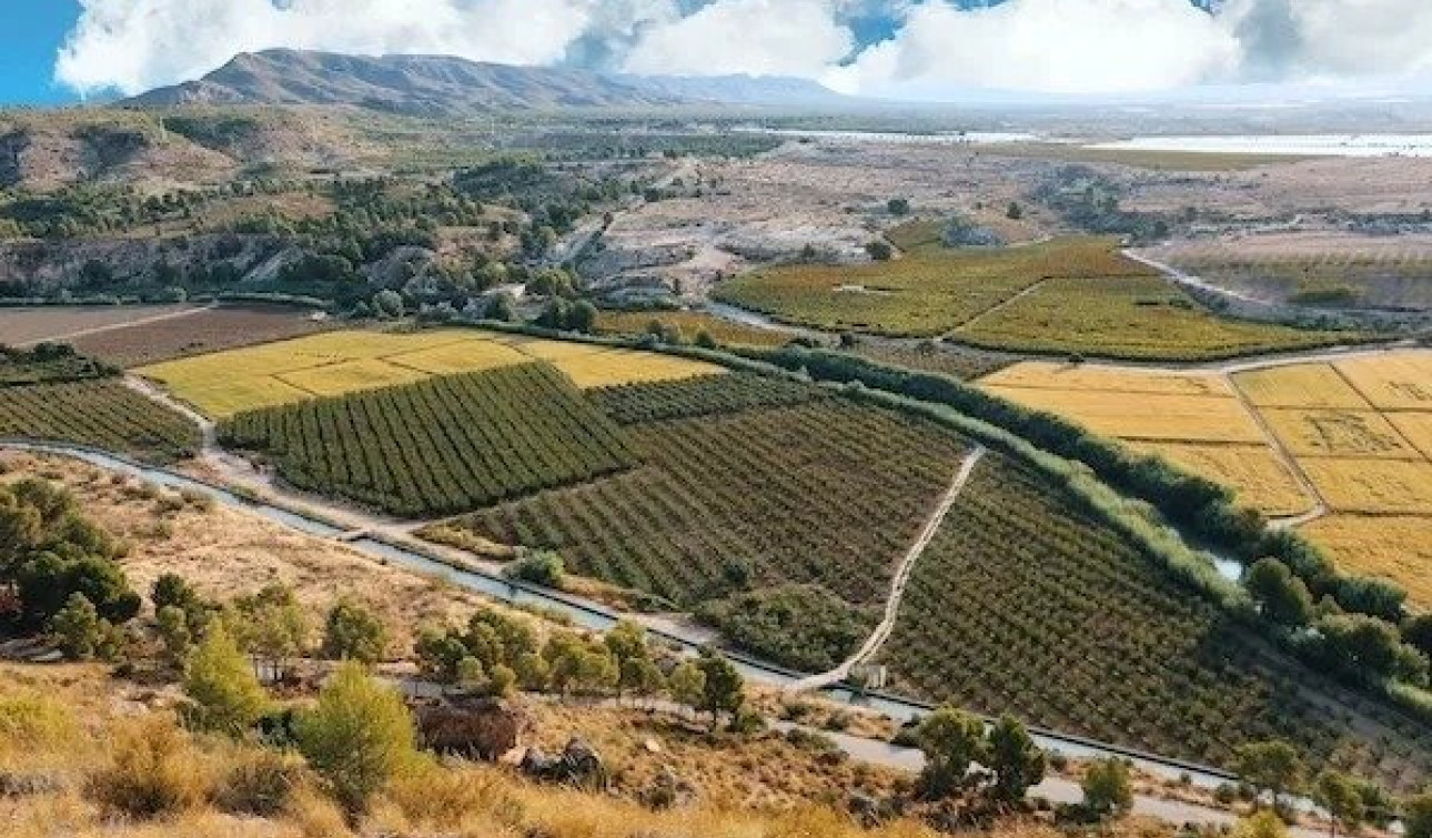 Obra nueva - Villa independiente - Calasparra - Coto Riñales