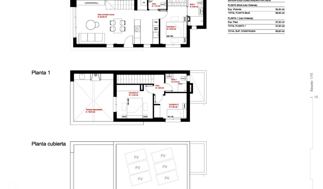 Obra nueva - Villa independiente - Daya Nueva