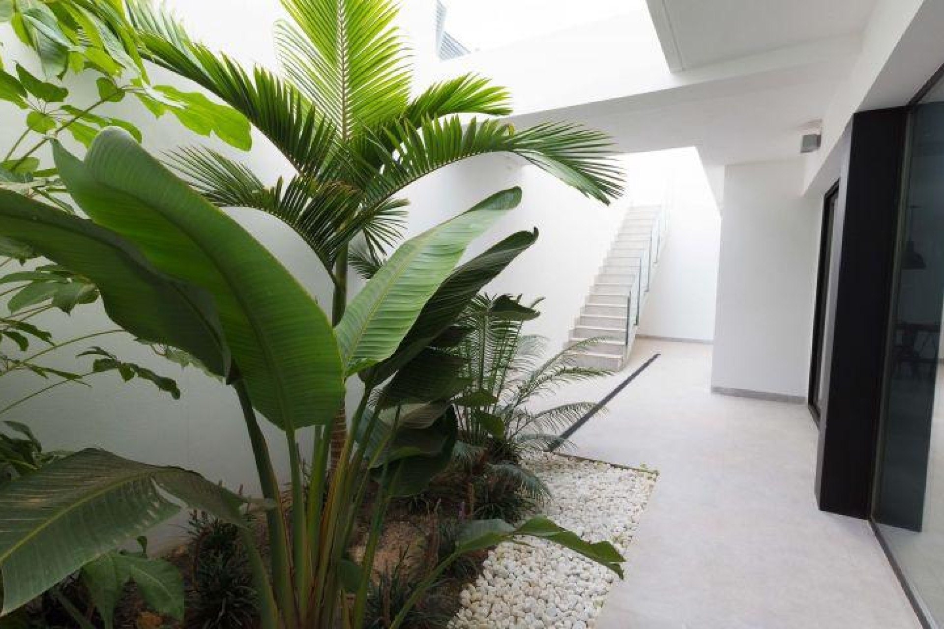 Obra nueva - Villa independiente - Finestrat - Campana Garden