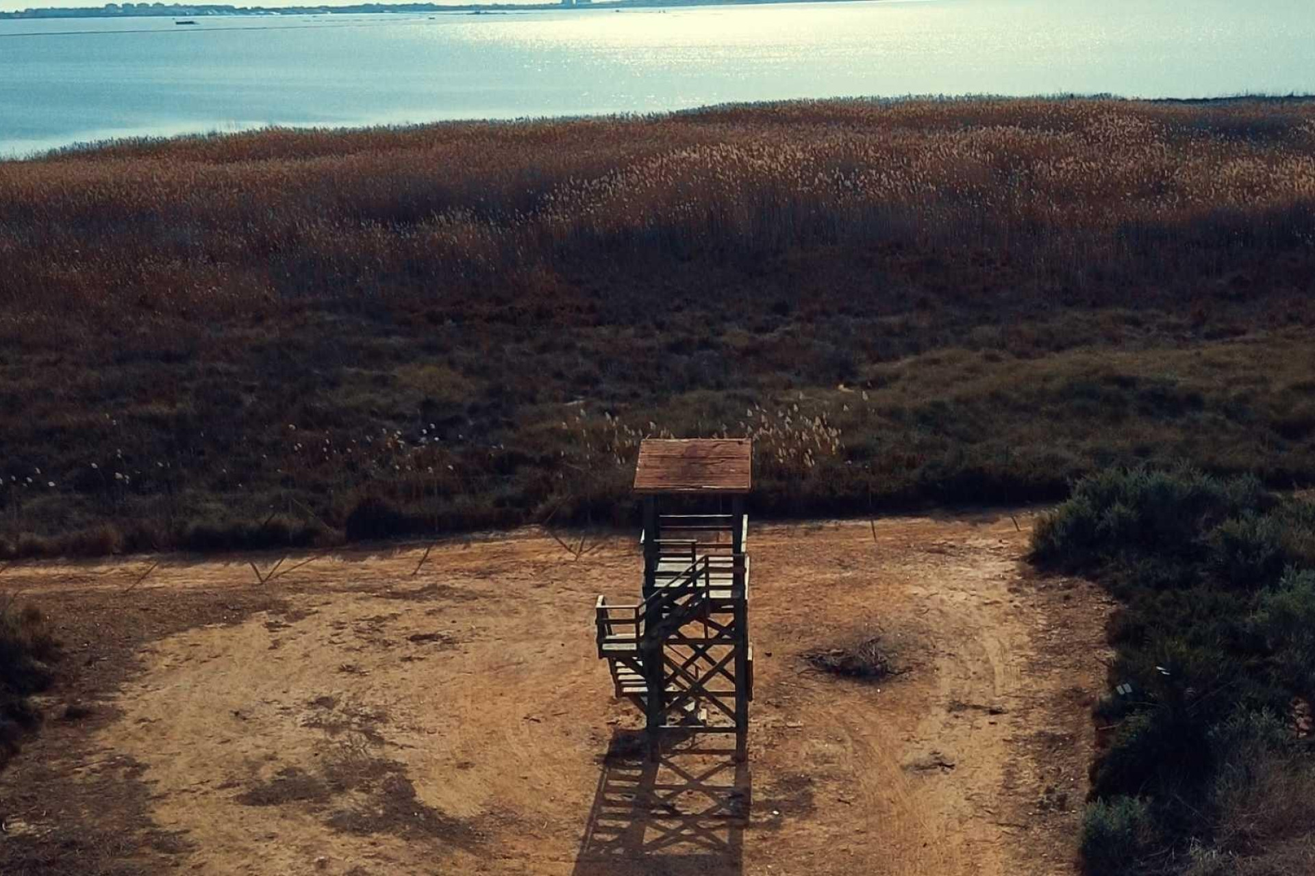 Obra nueva - Villa independiente - Los Montesinos - La Herrada