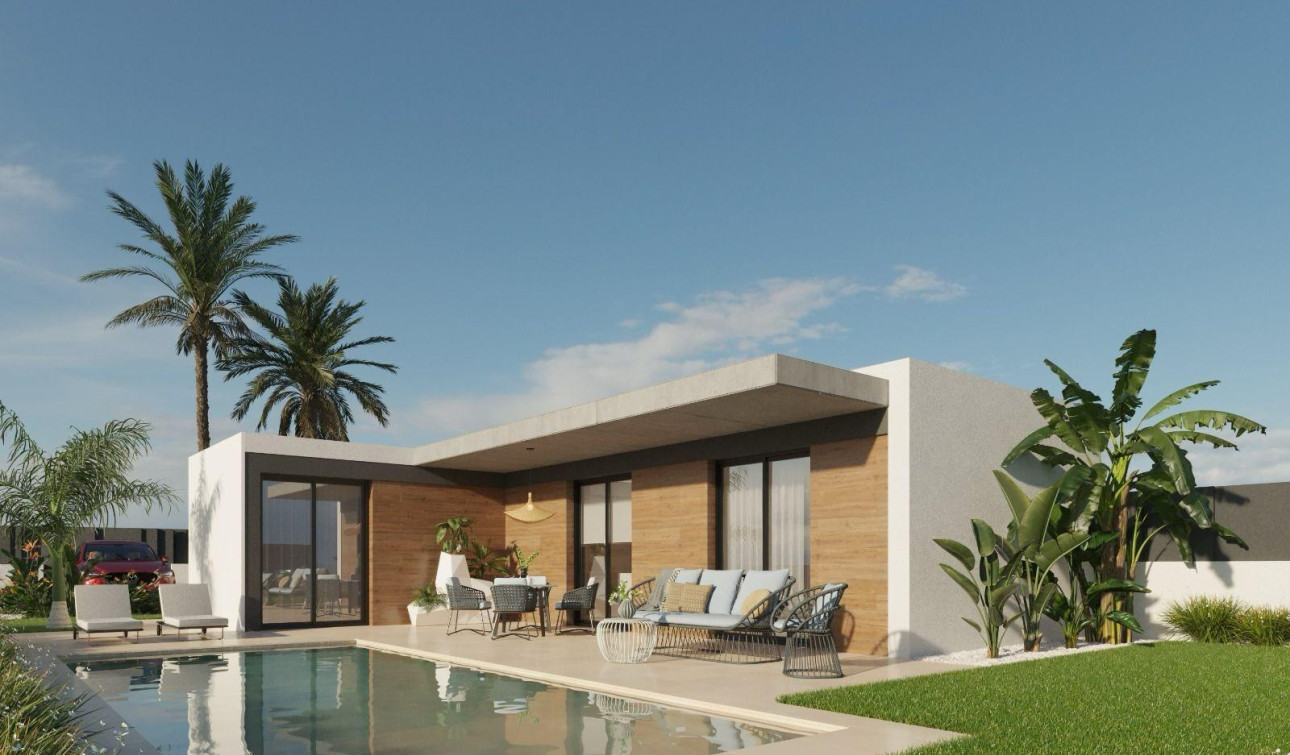 Obra nueva - Villa independiente - Molina De Segura - Urb. La Quinta