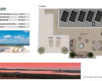 Obra nueva - Villa independiente - Orihuela - Entre Naranjos