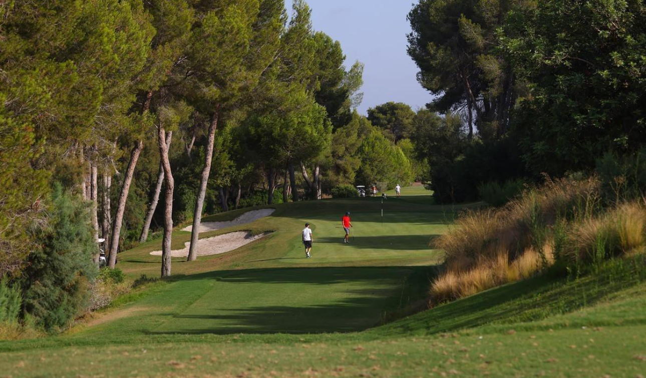 Obra nueva - Villa independiente - Orihuela - Las Colinas Golf