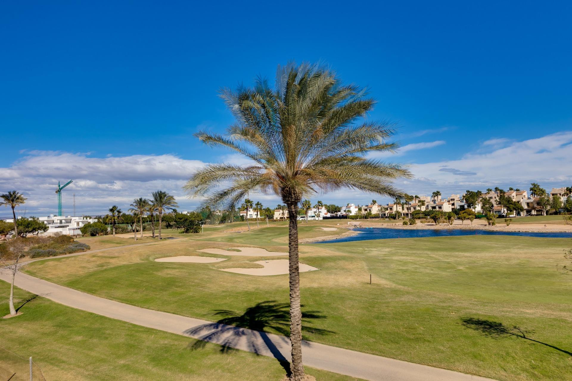 Obra nueva - Villa independiente - Pilar de la Horadada - Lo Romero Golf