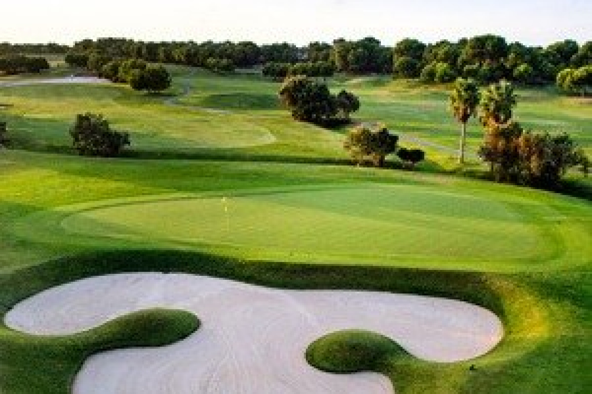 Obra nueva - Villa independiente - Pilar de la Horadada - Lo Romero Golf