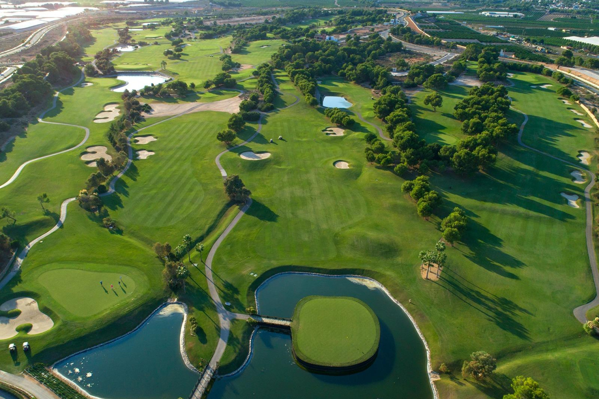 Obra nueva - Villa independiente - Pilar de la Horadada - Lo Romero Golf