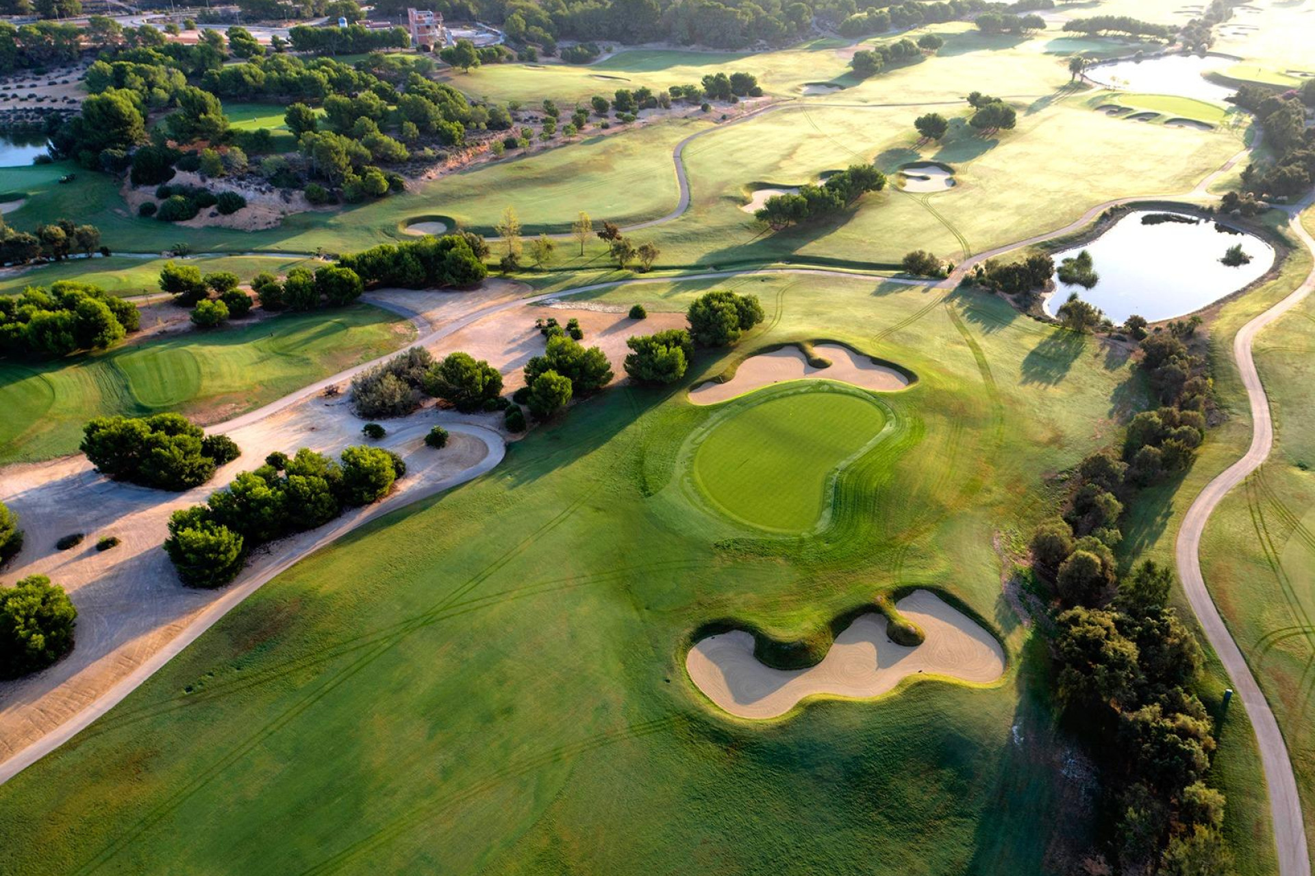 Obra nueva - Villa independiente - Pilar de la Horadada - Lo Romero Golf