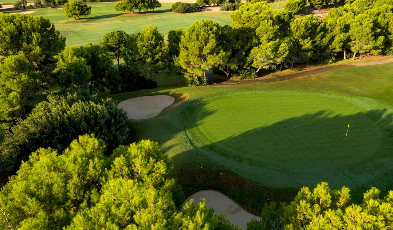 Obra nueva - Villa independiente - Pilar de la Horadada - Lo Romero Golf