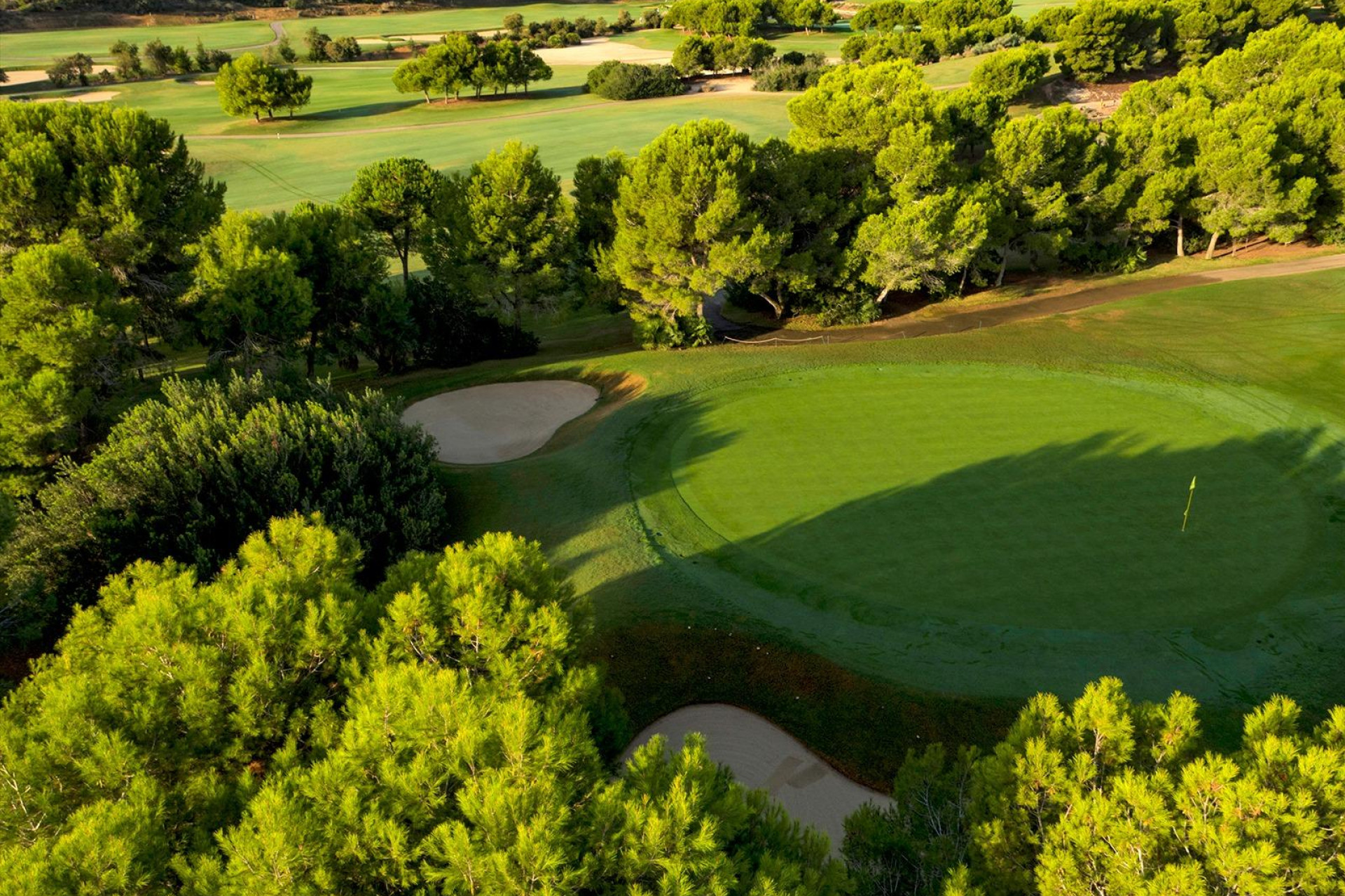 Obra nueva - Villa independiente - Pilar de la Horadada - Lo Romero Golf