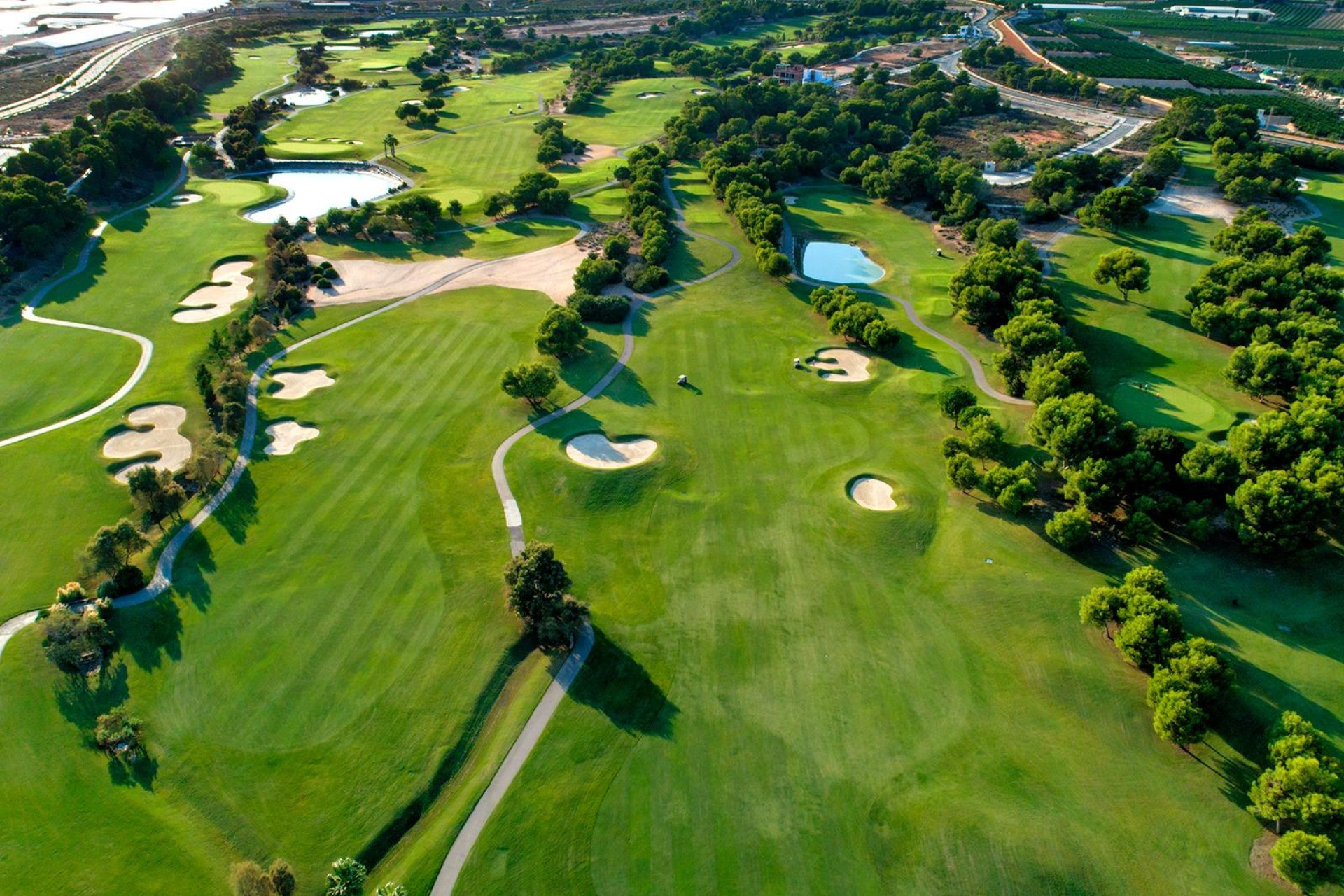 Obra nueva - Villa independiente - Pilar de la Horadada - Lo Romero Golf