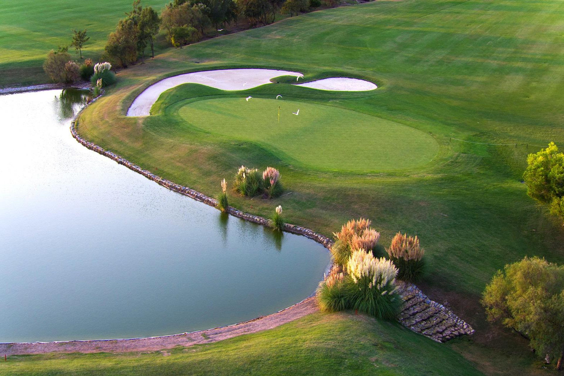 Obra nueva - Villa independiente - Pilar de la Horadada - Lo Romero Golf